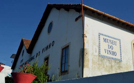 Museu do Vinho de Alcobaça // GoAlcobaça o teu Guia Turístico Local
