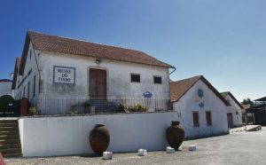 Wine Museum in Alcobaça, GoAlcobaça Your Local Touristic Guide